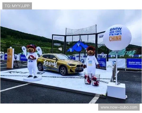 本季度品牌投放逻辑向长期陪伴转型 强化用户情感纽带